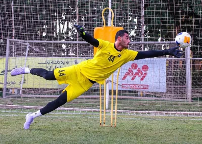 میرزازاد همچنان در جمع شاگردان نویدکیا