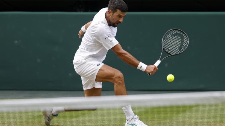 مهربانی ویمبلدون با طبیعت؛ توپ‌های تنیس خانه موش‌های صحرایی شد