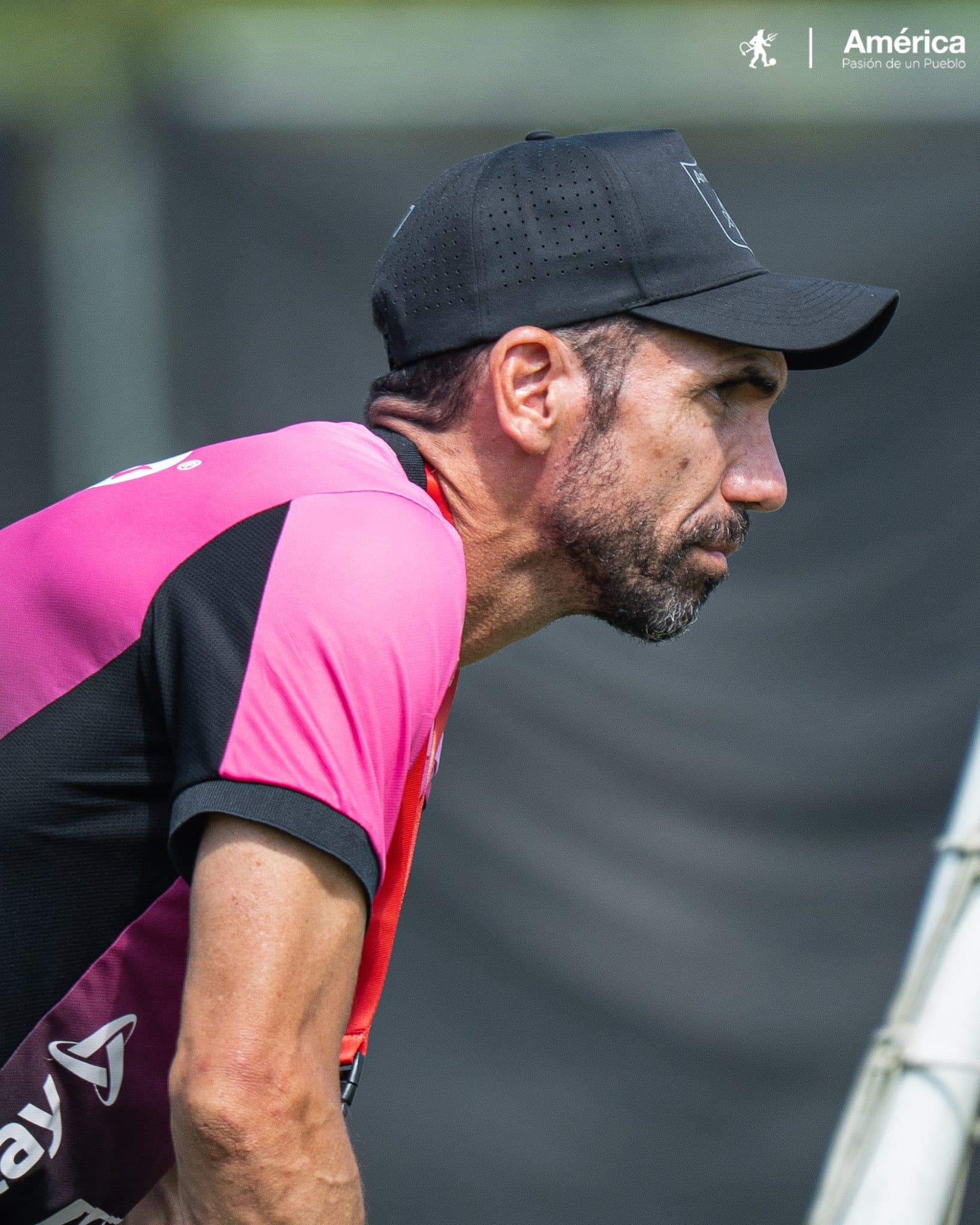 ترکیب‌های تأیید شده: آمریکا ده کالی میزبان آگیلاس دوراناس است