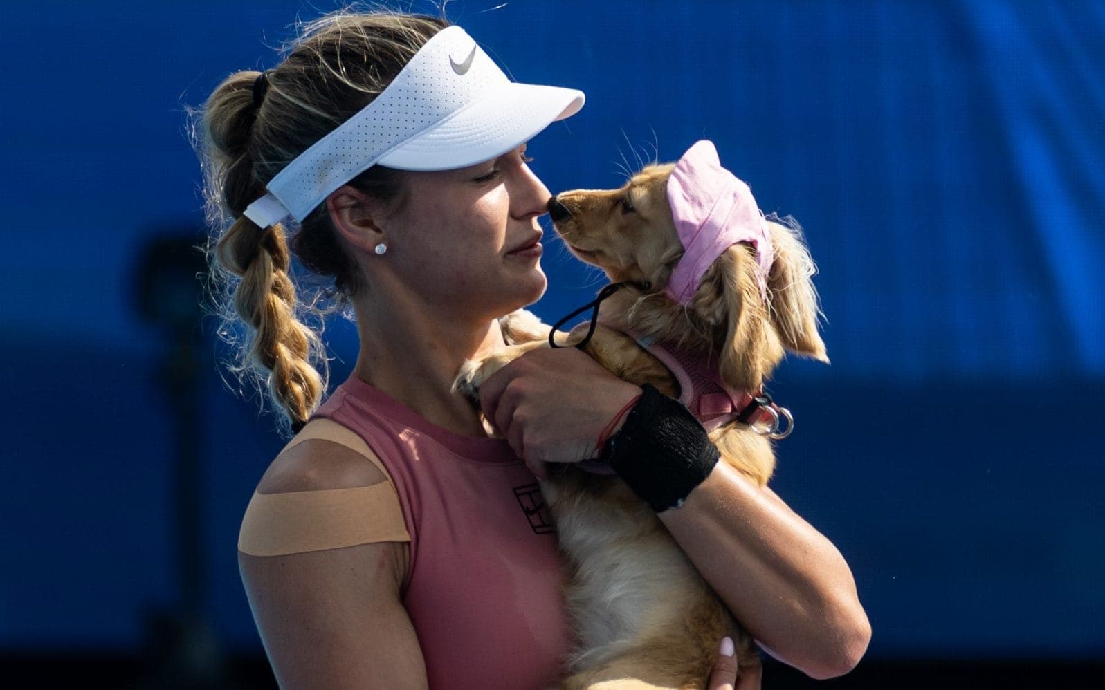 حضور سگ‌ها در کنار تنیس‌بازان زن در مسابقات US Open 2025