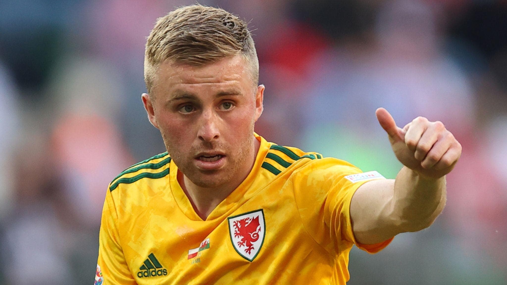 پایان دردناک و آرامِ کارنامه ورزشی؛ تجربه جو مورل پس از اوج در جام جهانی