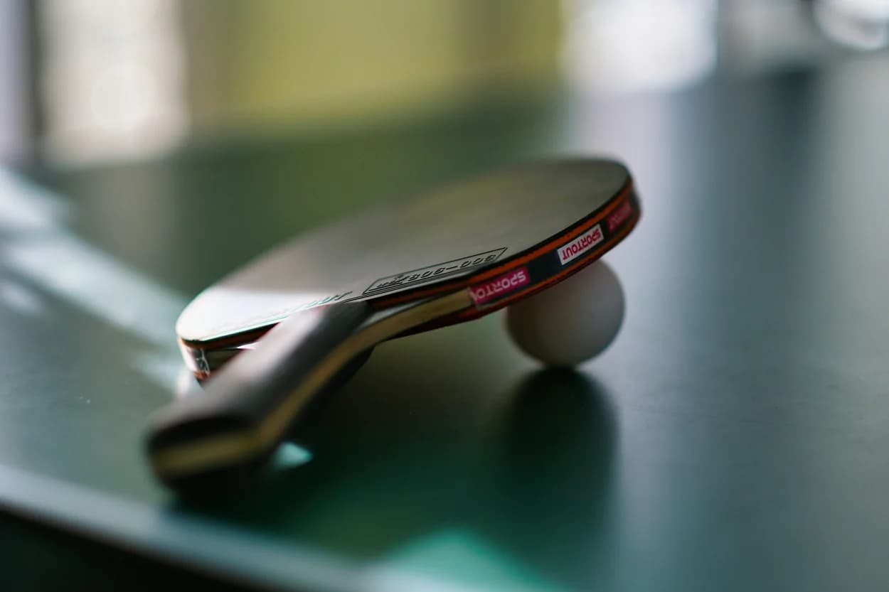 پینگ پنگ حرفه ای بزرگسالان