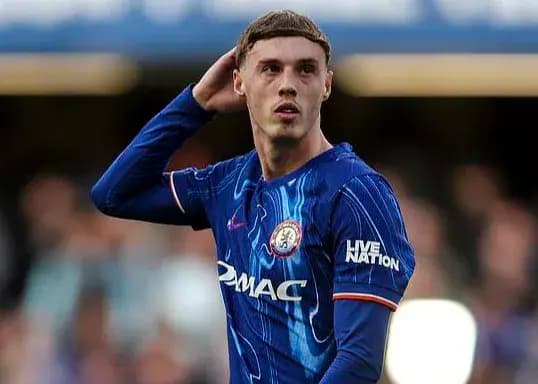 ادعای پالمر: استوائو یک کلمه از حرفم را نفهمید!